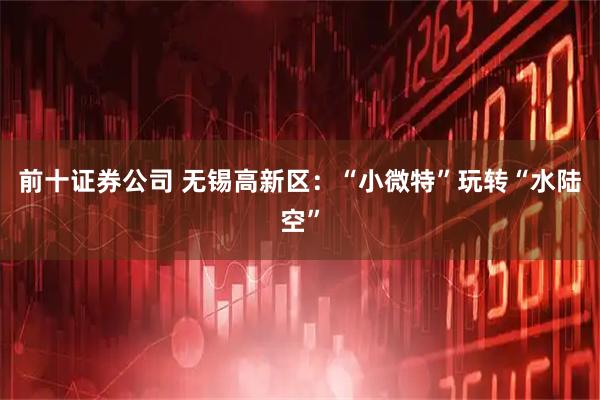 前十证券公司 无锡高新区：“小微特”玩转“水陆空”