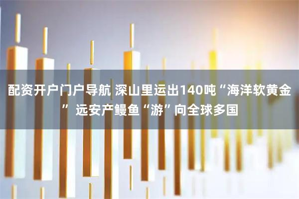 配资开户门户导航 深山里运出140吨“海洋软黄金” 远安产鳗鱼“游”向全球多国