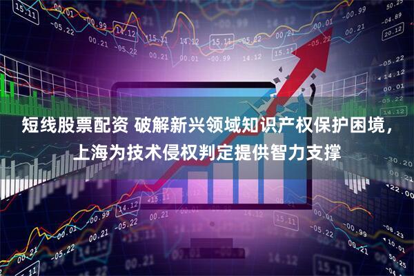 短线股票配资 破解新兴领域知识产权保护困境，上海为技术侵权判定提供智力支撑